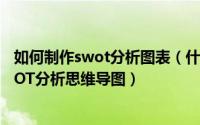 如何制作swot分析图表（什么是SWOT分析图怎样绘制SWOT分析思维导图）