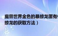 魔兽世界金色的暴掠龙蛋有什么用（魔兽世界WOW毒皮暴掠龙的获取方法）