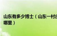 山东有多少博士（山东一村庄出16名博士30多名硕士说的是哪里）