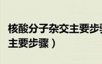 核酸分子杂交主要步骤是什么（核酸分子杂交主要步骤）