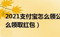 2021支付宝怎么领公交月卡（2021支付宝怎么领取红包）