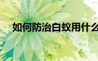 如何防治白蚁用什么药（如何防治白蚁）