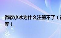 微软小冰为什么注册不了（微软二代小冰怎么在微软官网领养）