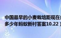 中国最早的小麦栽培距现在多少年（中国最早小麦栽培距今多少年蚂蚁新村答案10.22）