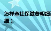 怎样查社保缴费明细百度（怎样查社保缴费明细）