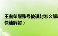 王者荣耀账号被误封怎么解决（王者荣耀账号被误封号怎么快速解封）