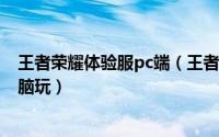 王者荣耀体验服pc端（王者荣耀体验服 前瞻版怎么在PC电脑玩）