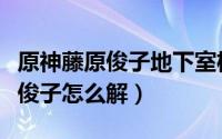 原神藤原俊子地下室机关怎么启动（原神藤原俊子怎么解）