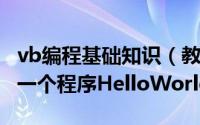 vb编程基础知识（教你写Visual Basic VB第一个程序HelloWorld）