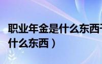 职业年金是什么东西干什么用的（职业年金是什么东西）