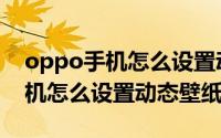 oppo手机怎么设置动态壁纸视频（oppo手机怎么设置动态壁纸）