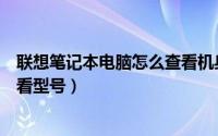 联想笔记本电脑怎么查看机身编码（联想笔记本电脑怎么查看型号）