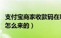 支付宝商家收款码在吗（支付宝的收款商家码怎么来的）