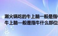 涮火锅吃的牛上脑一般是指牛什么部位的肉（涮火锅时吃的牛上脑—般是指牛什么部位的肉）