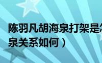 陈羽凡胡海泉打架是怎么回事（揭陈羽凡胡海泉关系如何）