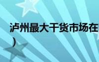 泸州最大干货市场在哪（龙珠Z电光火石攻略）