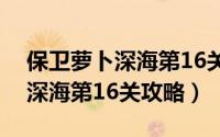 保卫萝卜深海第16关攻略图解法（保卫萝卜深海第16关攻略）