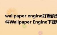 wallpaper engine好看的动漫动态壁纸（电脑动态壁纸软件Wallpaper Engine下载和运用）