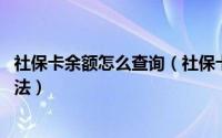 社保卡余额怎么查询（社保卡查询余额,社会保险缴费查询方法）