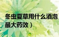 冬虫夏草用什么酒泡（冬虫夏草如何泡酒泡出最大药效）