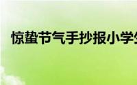 惊蛰节气手抄报小学生（惊蛰节气手抄报）