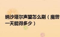 纳沙塔尔声望怎么刷（魔兽世界8.2怎么获得纳沙塔尔声望 一天能得多少）