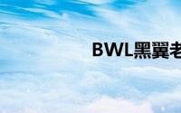 BWL黑翼老巢怎么刷？