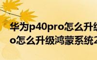 华为p40pro怎么升级鸿蒙系统（华为p40pro怎么升级鸿蒙系统2.0）