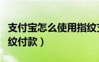 支付宝怎么使用指纹支付（支付宝怎么使用指纹付款）