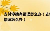 支付令确有错误怎么办（支付宝付款输入手机宝令总是提示错误怎么办）