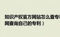 知识产权官方网站怎么查专利号（如何进国家知识产权局官网查询自己的专利）