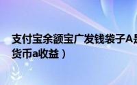 支付宝余额宝广发钱袋子A是啥（支付宝怎么查广发钱袋子货币a收益）