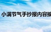 小满节气手抄报内容摘抄（小满节气手抄报）