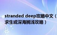 stranded deep攻略中文（《Stranded Deep》译名荒岛求生或深海搁浅攻略）