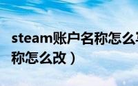 steam账户名称怎么写手机版（steam账户名称怎么改）