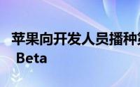 苹果向开发人员播种第五个macOS Catalina Beta