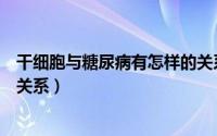 干细胞与糖尿病有怎样的关系呢（干细胞与糖尿病有怎样的关系）