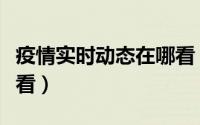 疫情实时动态在哪看（疫情实时动态在哪里查看）