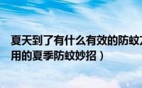 夏天到了有什么有效的防蚊方法呢（生活百科小窍门简单实用的夏季防蚊妙招）