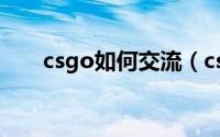 csgo如何交流（csgo如何交易饰品）