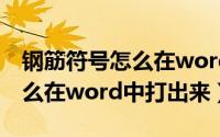 钢筋符号怎么在word中打出来（钢筋符号怎么在word中打出来）