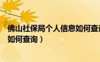 佛山社保局个人信息如何查询电子版（佛山社保局个人信息如何查询）