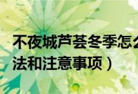 不夜城芦荟冬季怎么养（不夜城芦荟的养殖方法和注意事项）