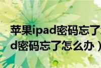 苹果ipad密码忘了怎么办不用刷机（苹果ipad密码忘了怎么办）