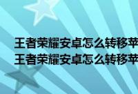 王者荣耀安卓怎么转移苹果步骤990荣耀币是多少人民币（王者荣耀安卓怎么转移苹果步骤2021）