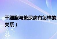 干细胞与糖尿病有怎样的关系呢（干细胞与糖尿病有怎样的关系）