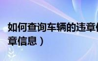 如何查询车辆的违章信息（如何查询车辆的违章信息）