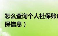 怎么查询个人社保账户总额（怎么查询个人社保信息）