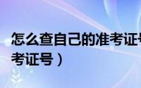 怎么查自己的准考证号初中（怎么查自己的准考证号）