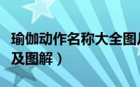 瑜伽动作名称大全图片及功效（瑜伽动作名称及图解）